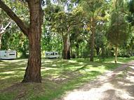 Large trees provide shady sites suitable for tents, caravans and winnebago's Powered Caravan Sites at Grampians Paradise