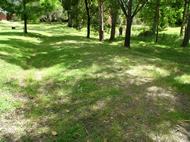 Valley 5 and 6 offer lots of shade to keep cool in summer camping Powered and unpowered camping and caravan sites