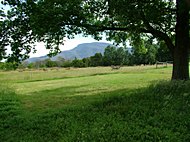 Parkland 4 (P4) unpowered camping site with both shade and sun and beautiful view of the Grampians Camping site with shady tree and views of the Grampians