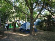 Valley 6 (V6) A very sheltered, shady, Permier Unpowered Site suitable for mutiple tents, or a smaller motor home Valley 6 (V6) unpowered premium camping site